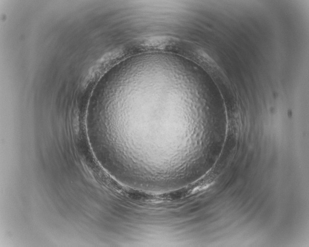 X0000056030504200508191355