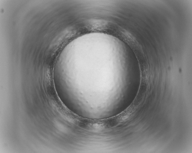 X0000056030506200508191355