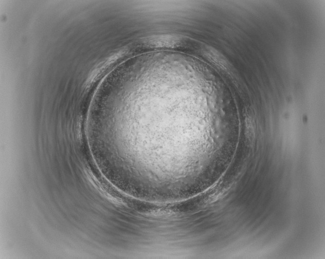 X0000056030537200508191354