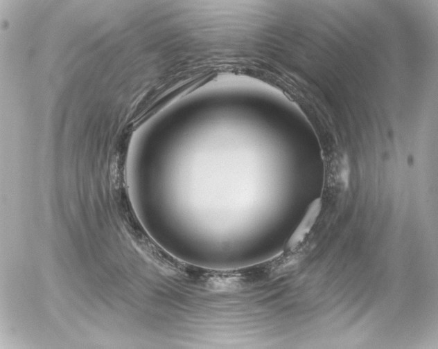 X0000056030560200508191355