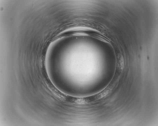 X0000056030562200508191355