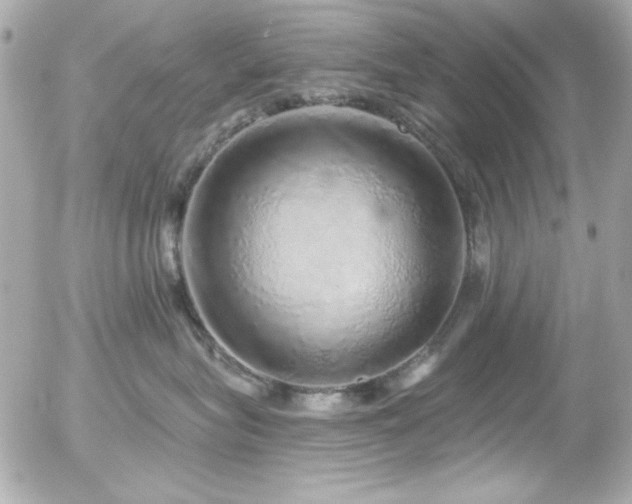X0000056030575200508191355