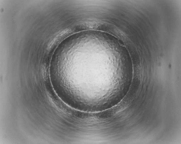 X0000056030594200508191354