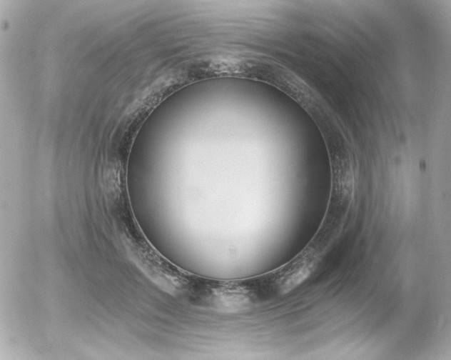 X0000056030603200508191354