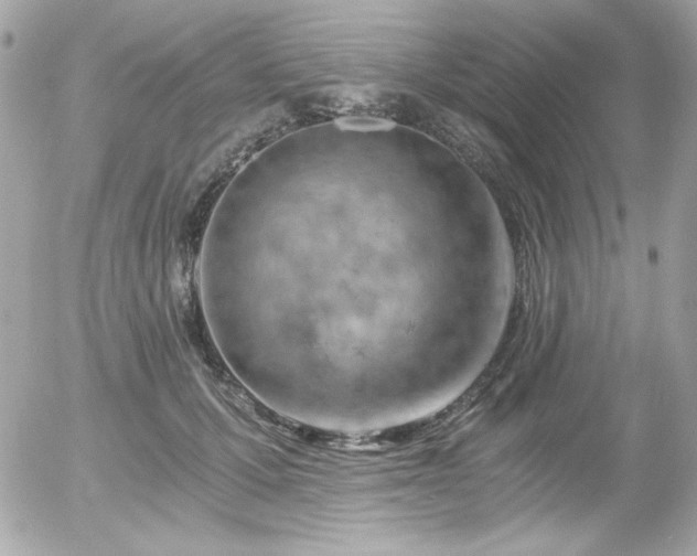 X0000056030607200508191354