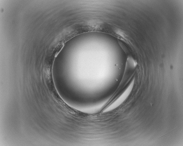 X0000056030613200508191354