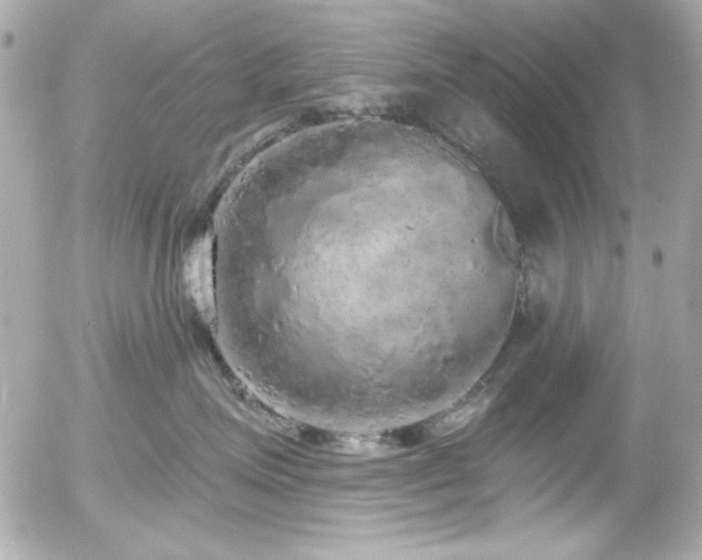 X0000056030623200508191353