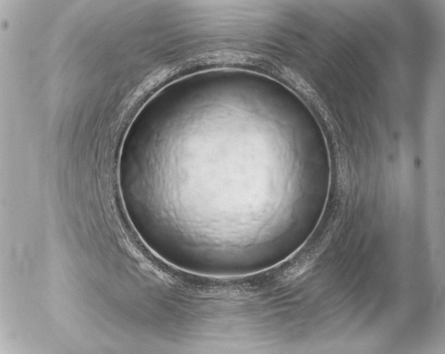 X0000056030625200508191353