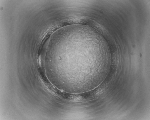 X0000056030642200508191353
