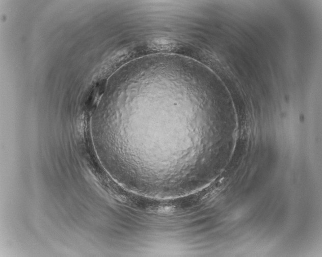 X0000056030647200508191353