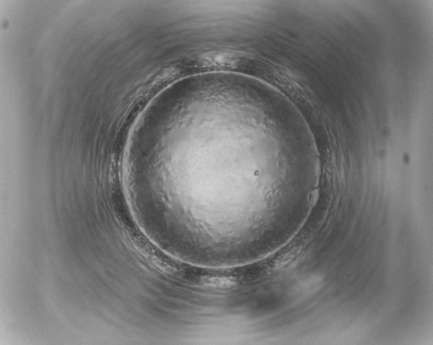 X0000056030649200508191353