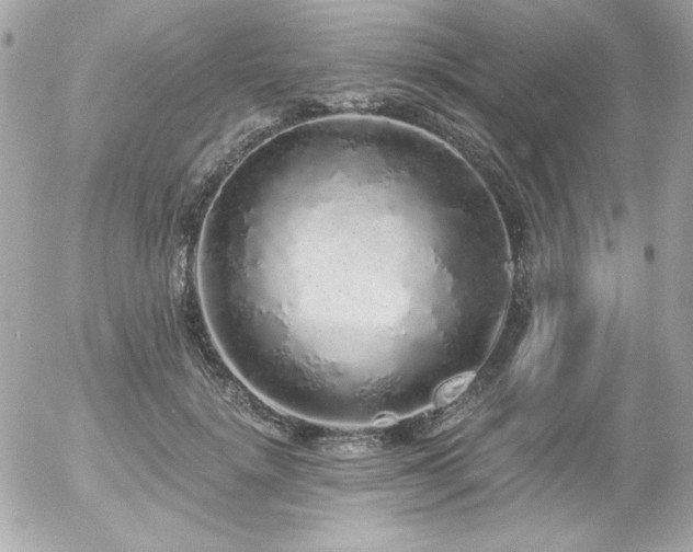 X0000056030652200508191353