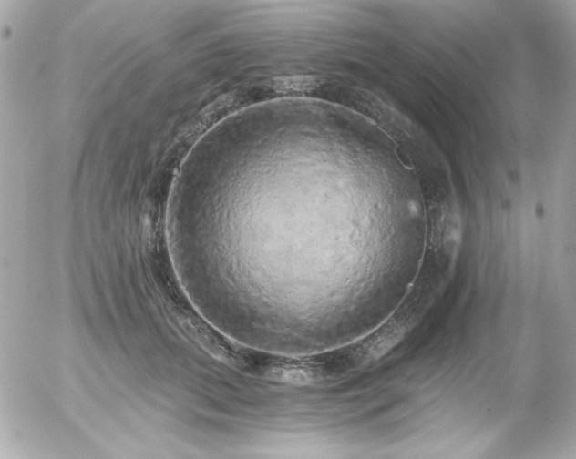 X0000056030655200508191353
