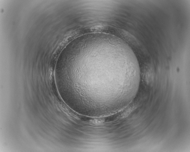 X0000056030660200508191353