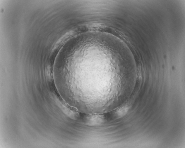 X0000056030670200508191353