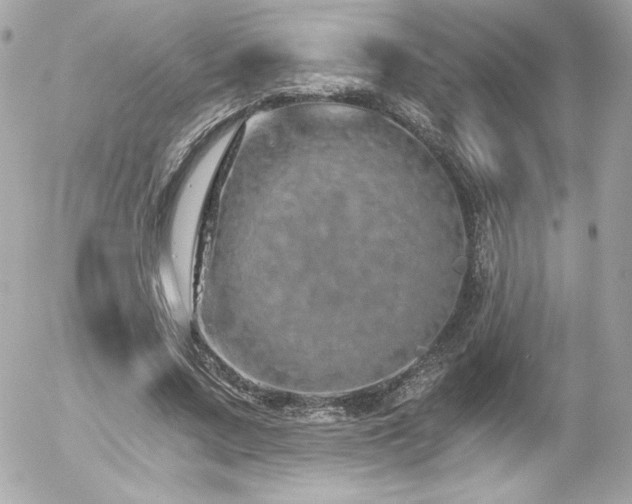X0000056030683200508191353