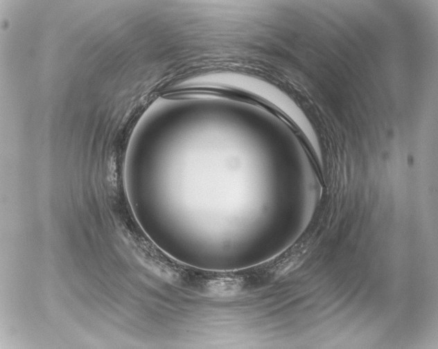 X0000056030700200508191352