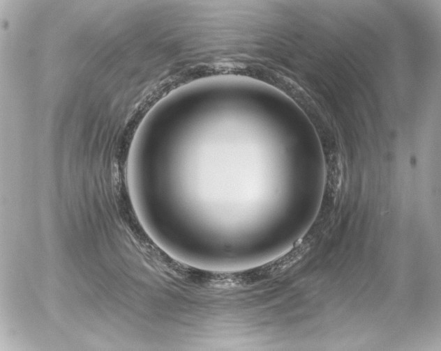 X0000056030704200508191352