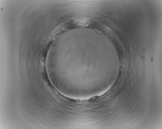X0000056030707200508191352