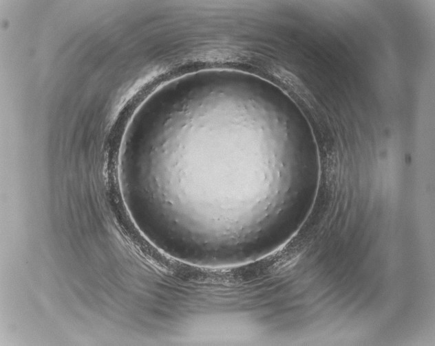 X0000056030727200508191351