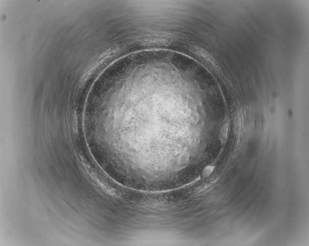 X0000056030729200508191351