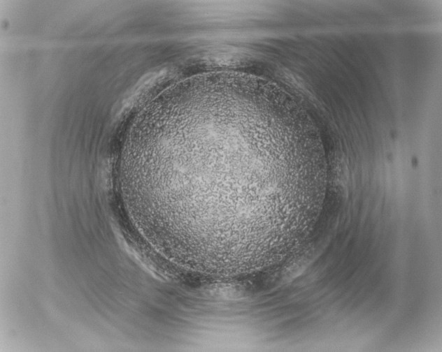 X0000056030738200508191351