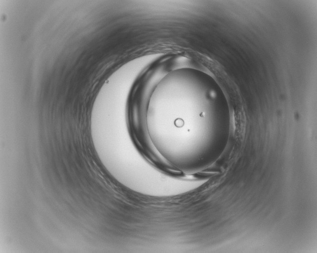 X0000056030762200508191352