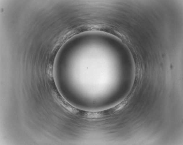X0000056030766200508191352