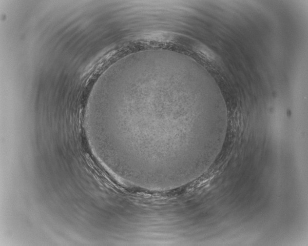X0000056030774200508191351