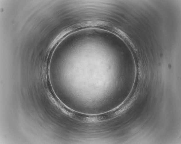 X0000056030794200508191351