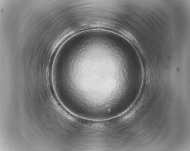 X0000056030798200508191351