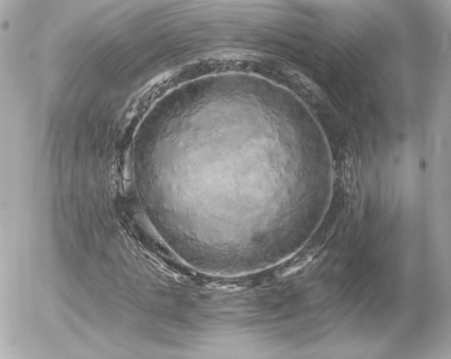 X0000056030821200508191350