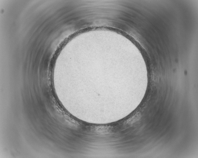 X0000056030832200508191350