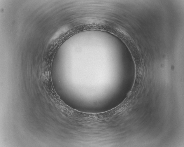 X0000056030869200508191349