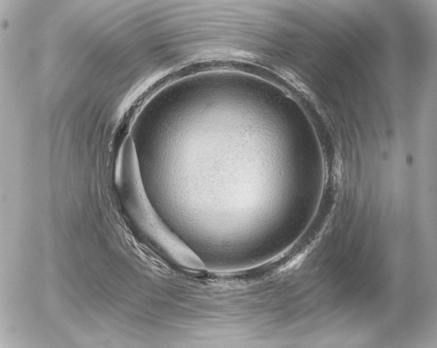 X0000056030877200508191349