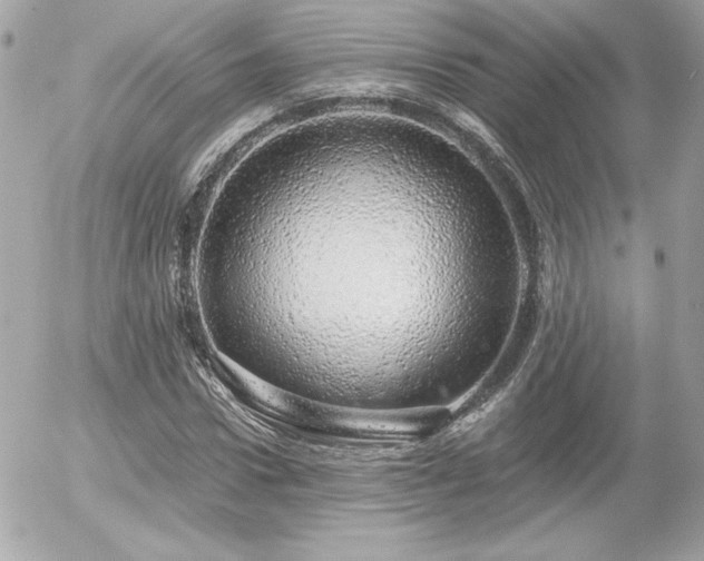 X0000056030922200508191348