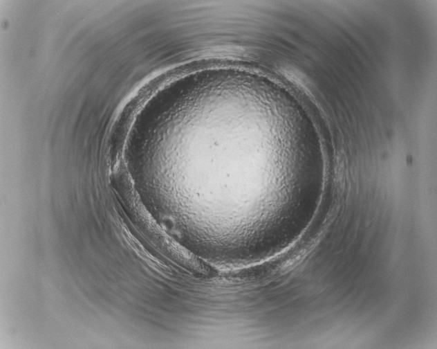 X0000056030923200508191348