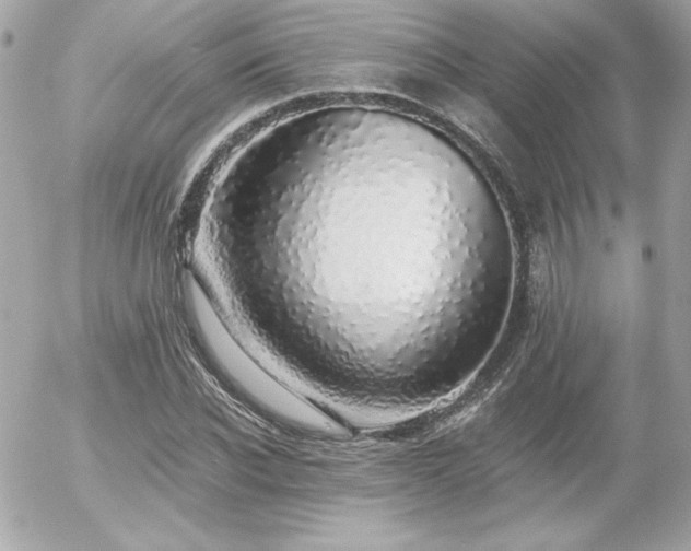 X0000056030926200508191348