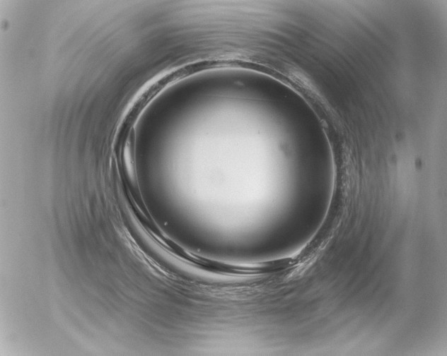 X0000056030932200508191348