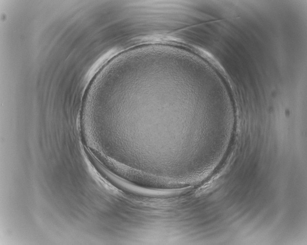 X0000056030946200508191348