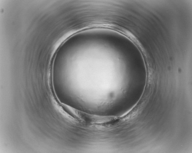 X0000056030955200508191349