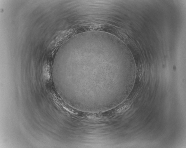 X0000056030962200508191348