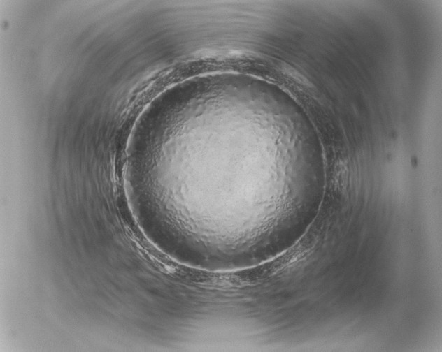 X0000056030966200508191348