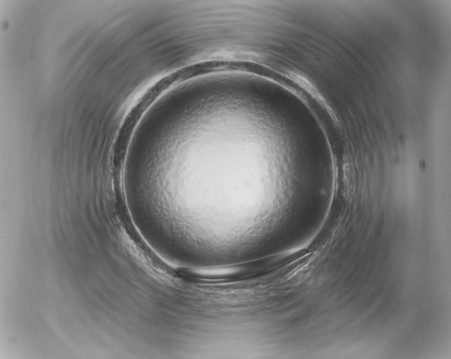 X0000056030972200508191348