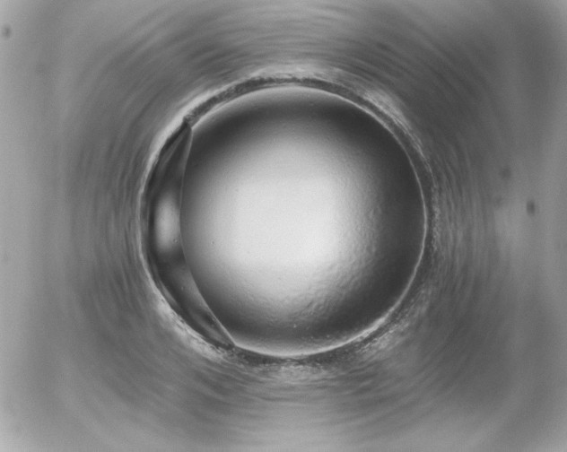 X0000056030984200508191347