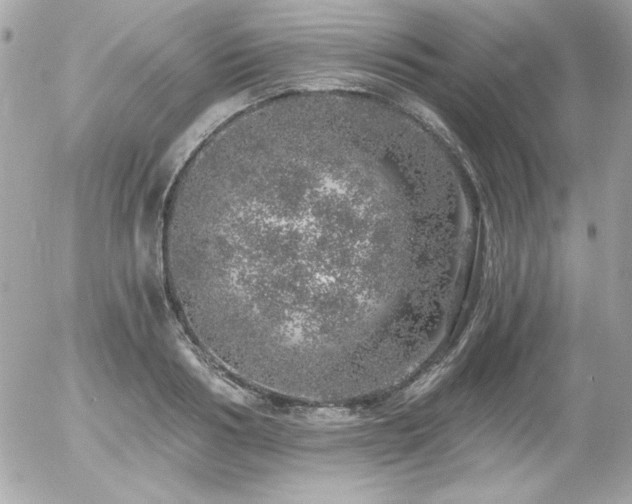 X0000056030986200508191347