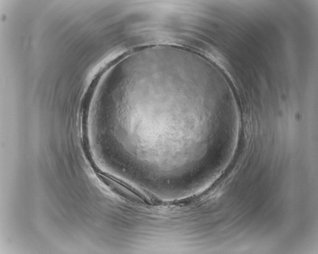 X0000056030987200508191347