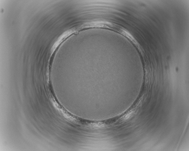 X0000056030994200508191347