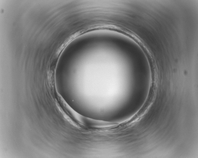 X0000056031001200508191347