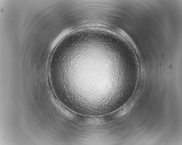 X0000056031002200508191347